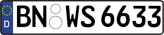 BN-WS6633