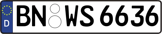 BN-WS6636