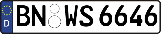 BN-WS6646