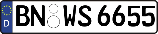 BN-WS6655