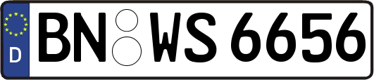 BN-WS6656