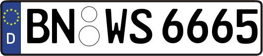 BN-WS6665
