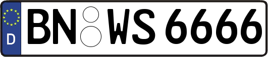 BN-WS6666