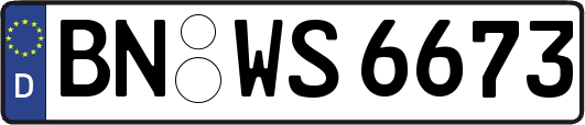 BN-WS6673