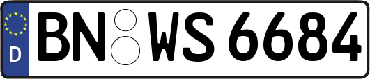 BN-WS6684
