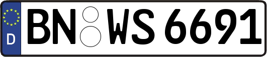 BN-WS6691