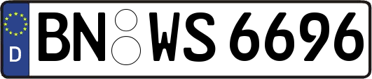 BN-WS6696