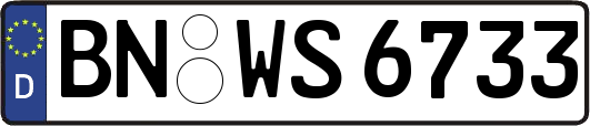 BN-WS6733