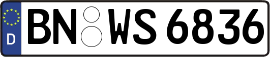 BN-WS6836