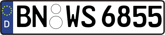 BN-WS6855