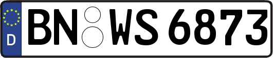 BN-WS6873
