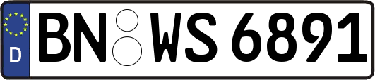 BN-WS6891