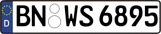 BN-WS6895