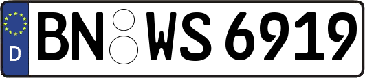 BN-WS6919