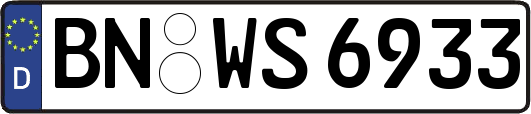 BN-WS6933