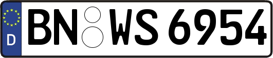BN-WS6954
