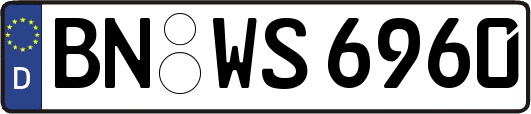 BN-WS6960