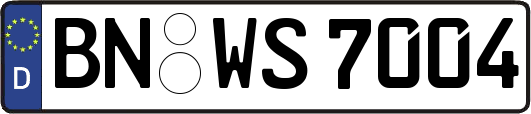 BN-WS7004