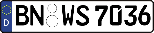 BN-WS7036