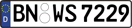 BN-WS7229