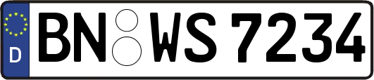BN-WS7234