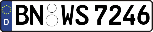 BN-WS7246