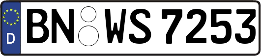 BN-WS7253