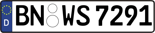 BN-WS7291