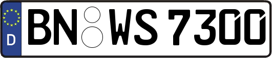 BN-WS7300