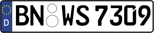 BN-WS7309
