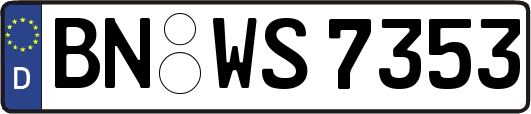 BN-WS7353
