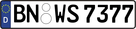 BN-WS7377