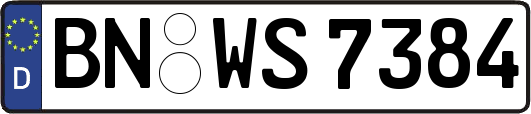 BN-WS7384