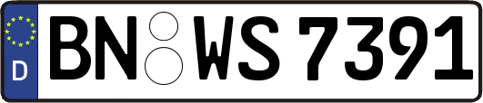 BN-WS7391