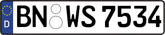 BN-WS7534