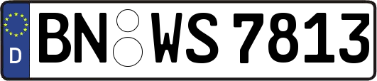 BN-WS7813