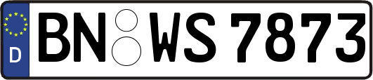 BN-WS7873