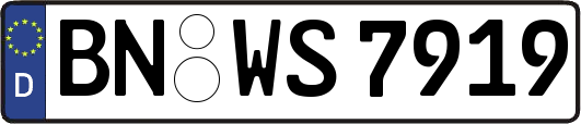 BN-WS7919