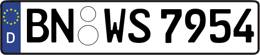 BN-WS7954