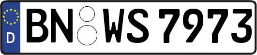 BN-WS7973