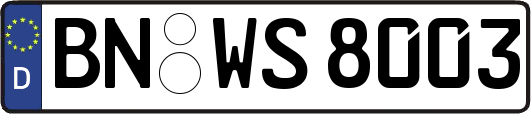 BN-WS8003