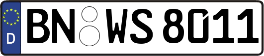 BN-WS8011