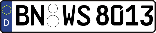 BN-WS8013