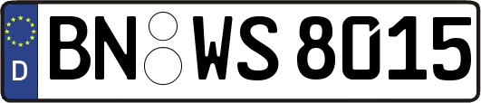 BN-WS8015