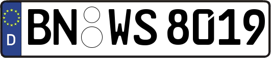 BN-WS8019