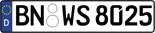BN-WS8025