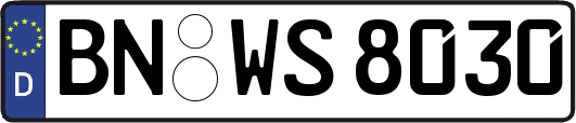 BN-WS8030