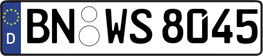 BN-WS8045