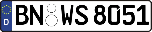 BN-WS8051