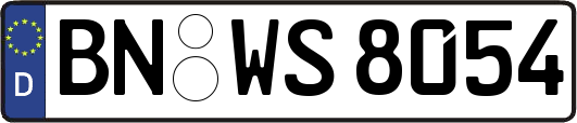 BN-WS8054